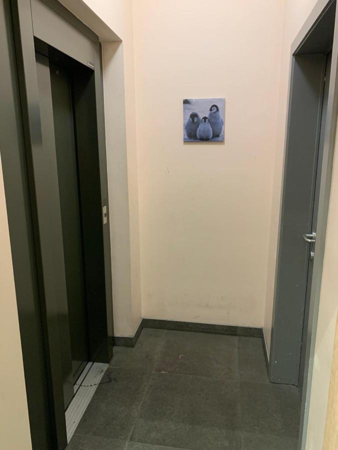 Appartement Okapi à Halle  Extérieur photo