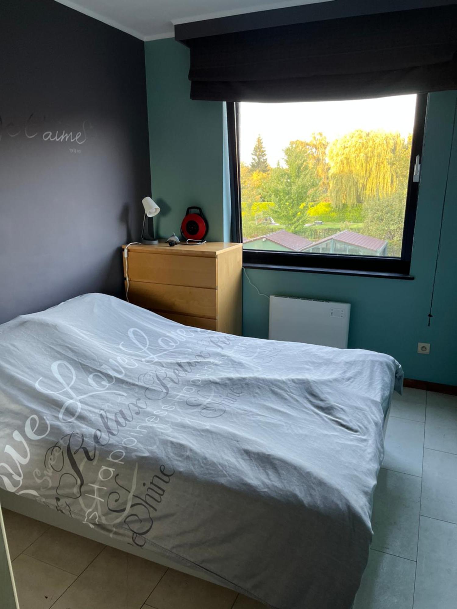 Appartement Okapi à Halle  Extérieur photo
