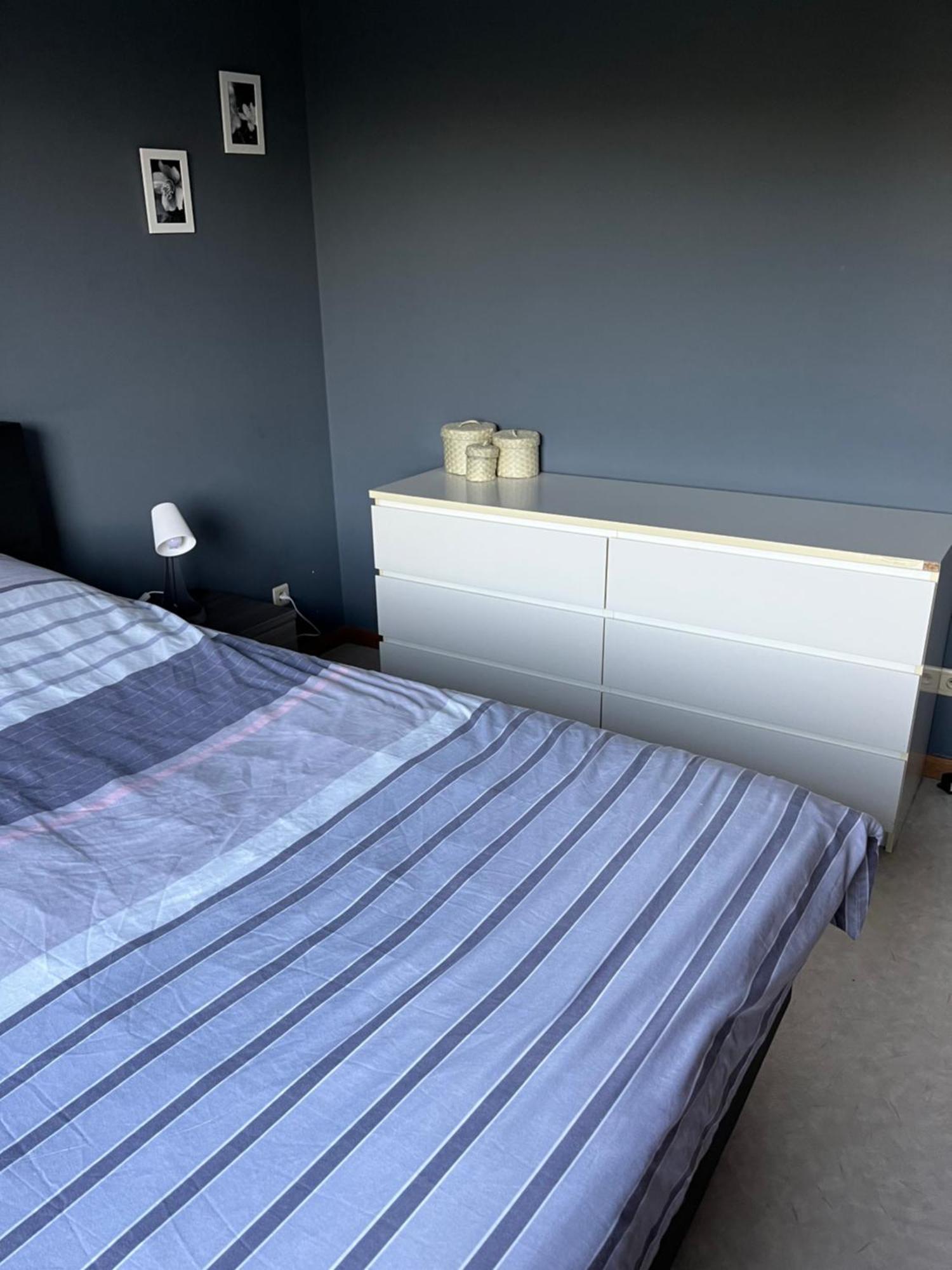 Appartement Okapi à Halle  Extérieur photo